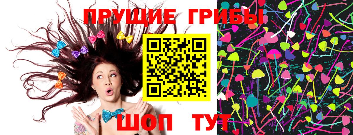 Псилоцибиновые грибы GOLDEN TEACHER Иваново