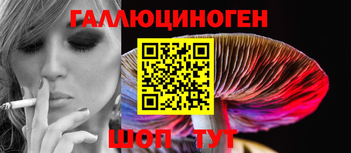 Галлюциногенные грибы мухоморы  где купить наркотик  Вход с VPN  Иваново  Галлюциногенные грибы Psilocybe 